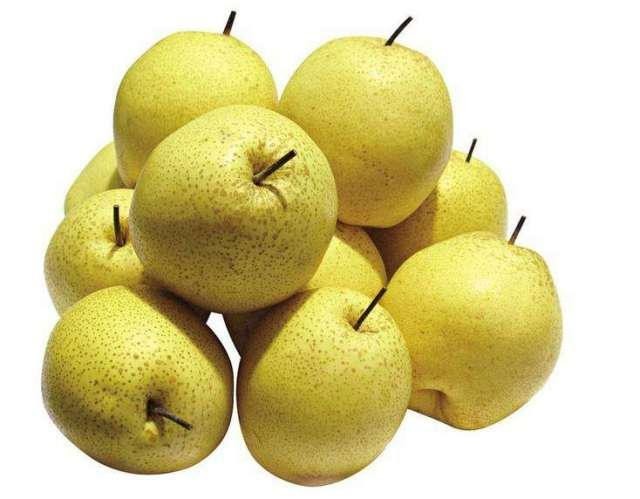 晋州鸭梨 晋州鸭梨