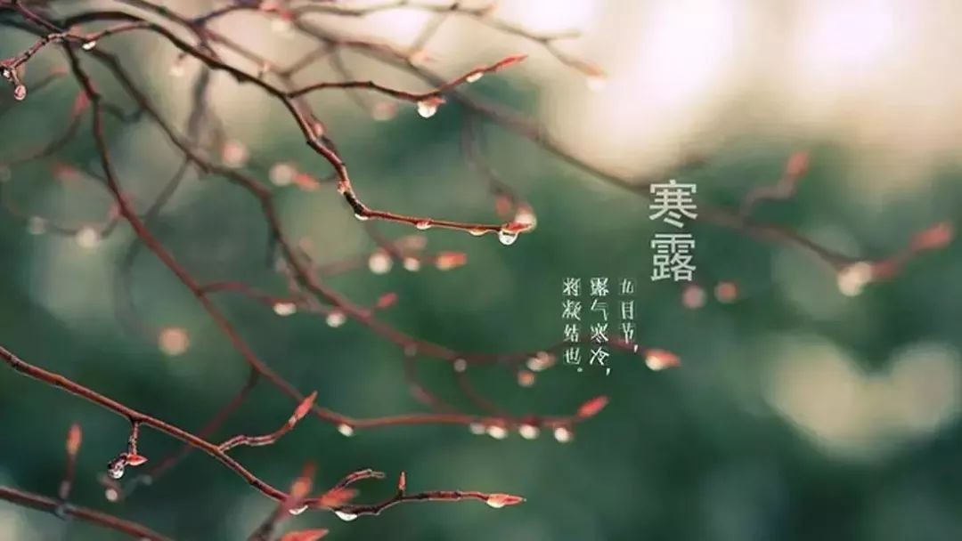 寒露
