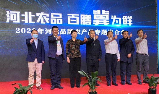 上海签约河北特色农产品