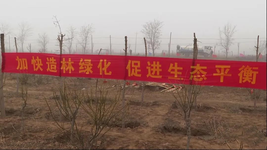 晋州市开展义务植树活动