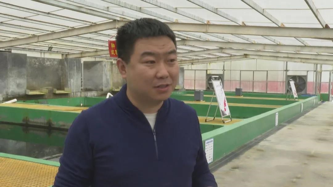晋州：调整结构促进特色农业发展焕发新活力