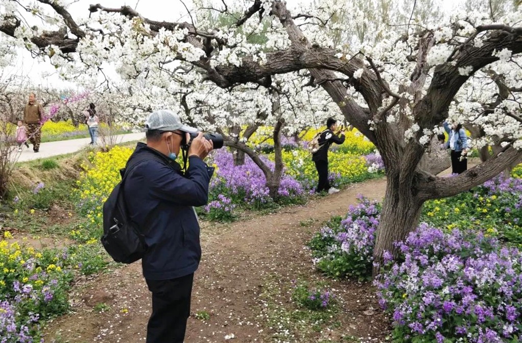 晋州市委网信办组织 “百家网媒看晋州”系列采风活动，为旅发大会预热升温