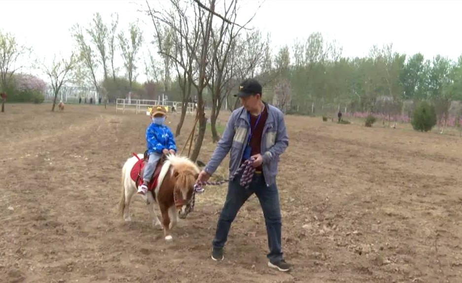 春暖花开踏青时，周家庄采摘园迎来众多游客